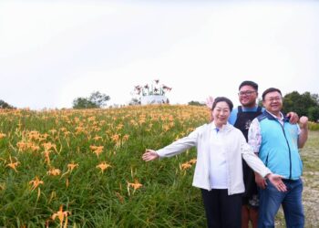 花蓮金針花季登場 徐榛蔚邀請全國鄉親走遊天使花海