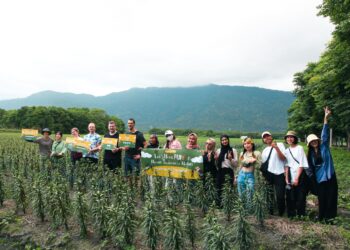 中央肯定花蓮縣府國際友善政策成果 花蓮案例入選全國雙語教材