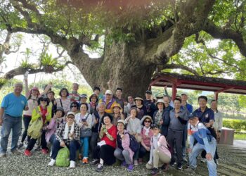 2025鳳林慢城桐花小旅行 客庄騎行桐遊趣