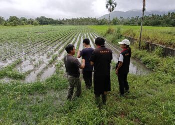 樺加沙颱風豪雨重創光復　花蓮縣府全力爭取啟動農業全品項救助