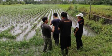 樺加沙颱風豪雨重創光復　花蓮縣府全力爭取啟動農業全品項救助