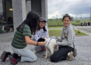 花蓮動物保護志工訓練 寵物攝影、動物行為觀察實作又實用