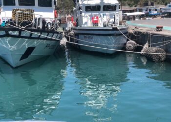 臺東縣府重視富岡漁港周邊環境管理維護 呼籲民眾勿隨意丟棄垃圾