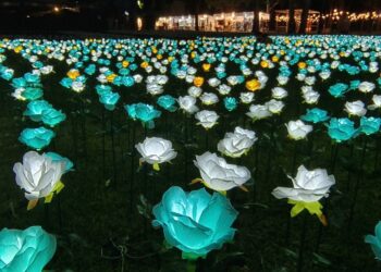 「臺東2024鐵花燈之祭」登場 邀您來感受最亮麗光采