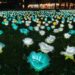 「臺東2024鐵花燈之祭」登場 邀您來感受最亮麗光采
