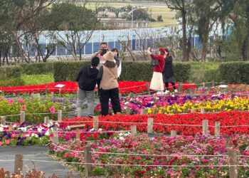 花蓮過年走春賞花人潮滿 順遊曼波園區體驗海味一日行程