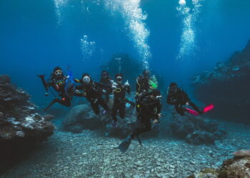 臺東縣淨海聯盟評比競賽開跑 為海洋環境生態盡心力
