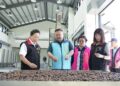 花蓮苦茶油以實力寫下亮眼成績　國產茶油品評榮獲8席殊榮