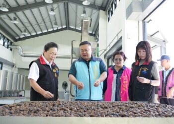 花蓮苦茶油以實力寫下亮眼成績　國產茶油品評榮獲8席殊榮