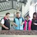 花蓮苦茶油以實力寫下亮眼成績　國產茶油品評榮獲8席殊榮